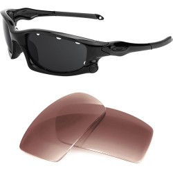 Verres de remplacement compatibles avec OAKLEY Wind Jacket Vented