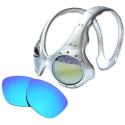 Compatible replacement lenses for OAKLEY Overthetop