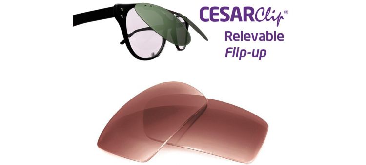 Clipon-sunglasses compatible for MOSCOT Lemtosh - 46mm