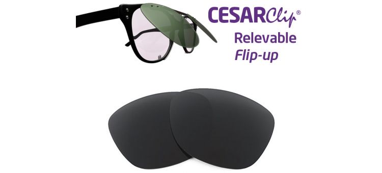 Clipon-sunglasses compatible for MOSCOT Lemtosh - 46mm