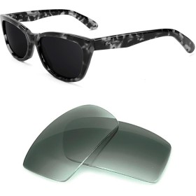 Compatible replacement lenses for RAY-BAN Innerview B&L