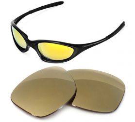 Verres de remplacement Oakley Xx/old twenty xx (2000)