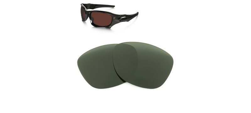 Compatible lenses for Oakley Pit Boss II