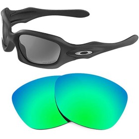 Verres de remplacement compatibles avec OAKLEY Monster Doggle