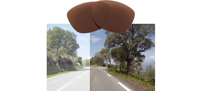 Clip Solaire Sur Mesure Relevable Cesar clip : A partir de