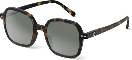 Verres Compatibles Izipizi Sun # D - 47mm
