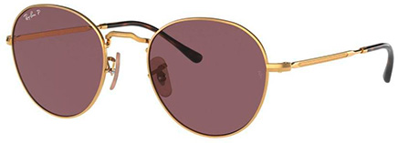 Verres RAY-BAN David RB3582 51mm