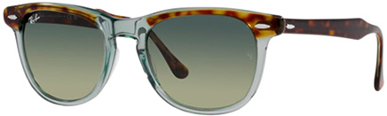 Verres RAY-BAN Eagle Eye RB2398F 53mm