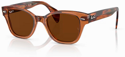 Verres RAY-BAN RB0880S 49mm