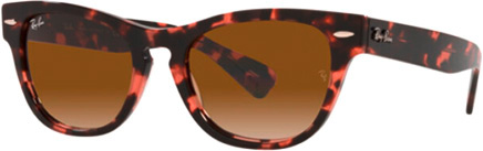 Clip Relevable Compatible RAY-BAN 2201 - 54mm